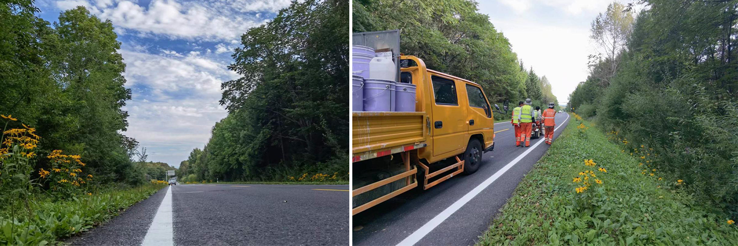 Tanggu Development Zone